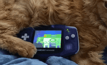 a cat laying next to a blue game boy advance