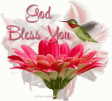 God Bless You Flower GIF - God Bless You Flower Bird GIFs