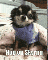 Hop On Skyrim Skyrim GIF - Hop On Skyrim Skyrim GIFs
