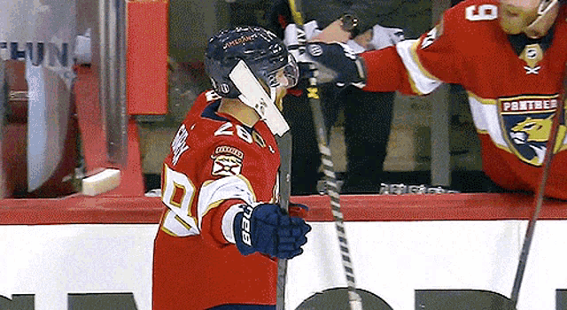 Florida Panthers Goal GIF - Florida Panthers Goal - Discover & Share GIFs