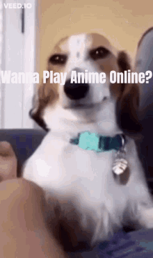 Anime Online GIF