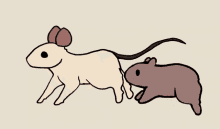 Rat Mouse GIF - Rat Mouse Hamster GIFs