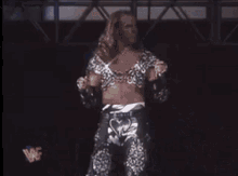 Hbk Shawn Michaels GIF - Hbk Shawn Michaels Dance GIFs
