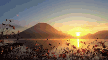 a sunset over a lake with mountains in the background and flowers in the foreground