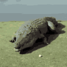 крокодил Crocodile GIF - крокодил Crocodile GIFs