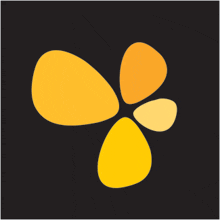a yellow flower on a black background with three yellow petals