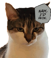 Nah Id Win Cat Sticker
