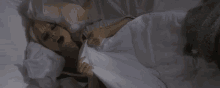 Sleeping Blanket GIF - Sleeping Blanket Bed GIFs