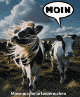 a cow with a speech bubble that says moin on it