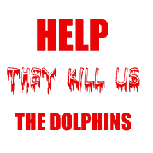 dolphins miami dolphins help attention please world