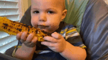 Baby Corn GIF - Baby Corn Hungry GIFs