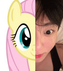 a half of a woman 's face is shown next to a picture of a pony