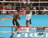 two boxers are fighting in a boxing ring with a casio advertisement in the background