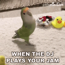 When The Dj Plays Your Jam Disk Jockey GIF