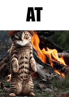 a cat wearing a hat is standing on its hind legs in front of a fire .