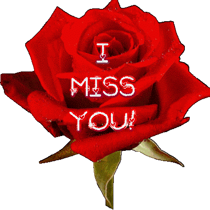 I Miss You Rose Sticker - I Miss You Rose Heart Rose Stickers