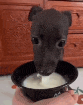 a puppy is drinking milk from a black bowl .