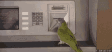 Parrot Atm GIF - Parrot Atm Card GIFs