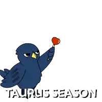 a cartoon of a bird holding a heart with the words taurus season behind it