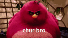 a red angry bird with the words chur bro written on it