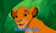 Beautiful Simba GIF - Beautiful Simba The Lion King GIFs