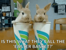 Bunny Cup GIF - Bunny Cup Easter GIFs