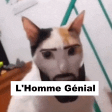 a cat with a beard and the words l' homme genial on the bottom