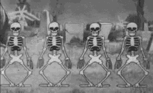 Spooky Spooky Skeleton GIF