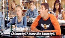 Borophyll GIF - Borophyll GIFs