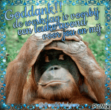 monkey goddank thank you sparkle