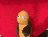 a stuffed animal with big eyes and a black coat