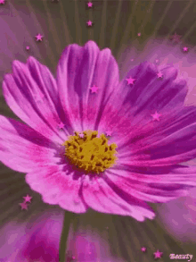 Purple Flower GIF - Purple Flower Stars GIFs