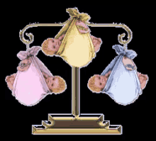 three babies are hanging on a scale with one being a girl
