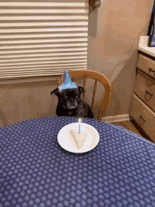 Pug Happy Birthday GIF - Pug Happy Birthday Cute GIFs
