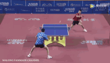table tennis ping pong liu dingshuo sun wen around the net
