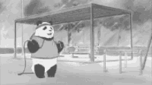 anime panda sport