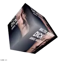 a cube with a picture of walter put your dick away