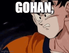 Gohan Goku GIF - Gohan Goku Goku Angry GIFs
