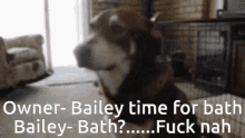 oh hell no dog bath no nope