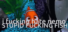 Nemo Hate GIF - Nemo Hate Hatred GIFs