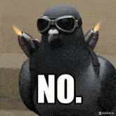 a pigeon wearing goggles and a backpack says no.