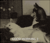 two dogs laying on a couch with the words good morning written on the bottom