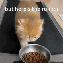 a cat is eating food on a treadmill with the words but here 's the runner