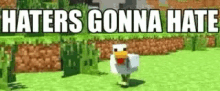 Haters Gonna Hate Duck GIF - Haters Gonna Hate Duck Dont Care GIFs