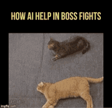 fights boss
