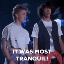 Most Tranquil Bill And Ted GIF - Most Tranquil Bill And Ted It Was Fun GIFs