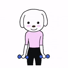 cute exercise puppy dog athletic