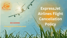 Express Jet Airlines Flight Cancellation Policy Express Jet Airlines Cancellation Policy GIF - Express Jet Airlines Flight Cancellation Policy Express Jet Airlines Cancellation Policy GIFs