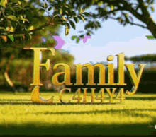 the word family is written in gold letters on a green field