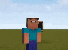 a minecraft character is standing next to a television on a pole in a field .